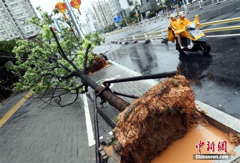 12级台风“纳沙”杀到，茂名发布台风白色预警！_海面_防风_方向