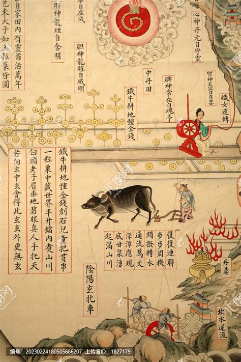 内经图图片