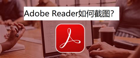 Adobe Reader XI(pdf阅读器)设置中文的具体流程介绍 - PC下载网资讯网