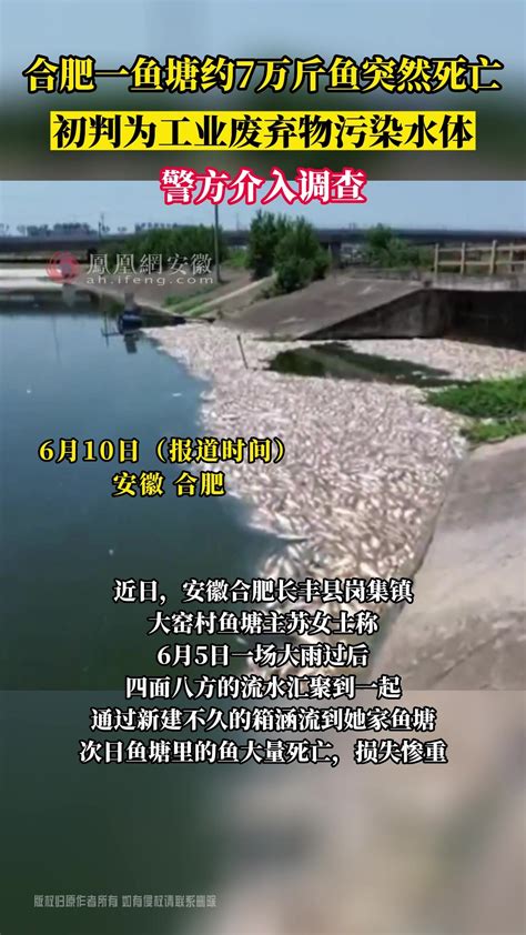 广西鱼塘现大坑 一夜“吃掉”五万多斤鱼_新浪图片