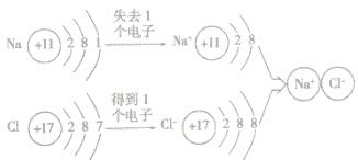离子符号的意义及写法-初中化学-n多题