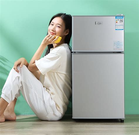 中国冰箱十大名牌，中国冰箱十大名牌分别是哪些