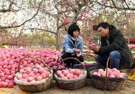 东坡文化季|名人大讲堂沙画回顾苏东坡“非凡人生”_凤凰网视频_凤凰网