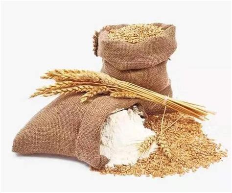 今天小麦最新价格多少钱一斤河北省小麦没斤多少钱（山东今天小麦最新价格多少钱一斤） | 大商梦