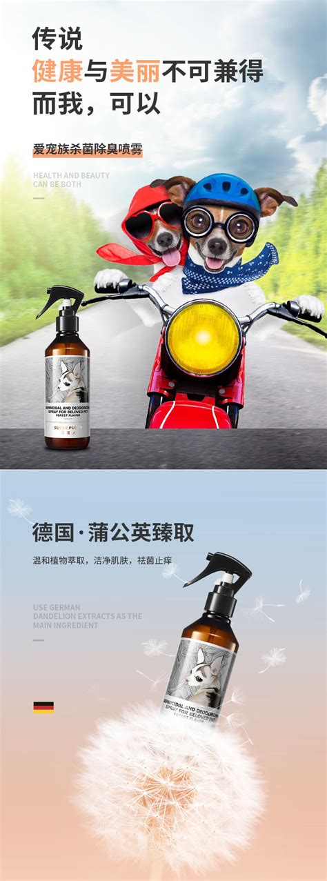 杭州品牌策划公司-市场营销策划-杭州品牌VI设计-品牌全案策划-杭州陆源文化