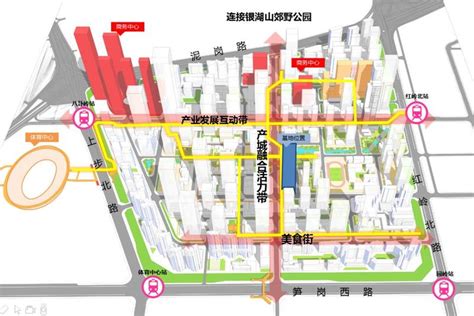 我为群众办实事 | 福田农批市场蔬菜交易区焕新迎客-深圳政府在线_深圳市人民政府门户网站