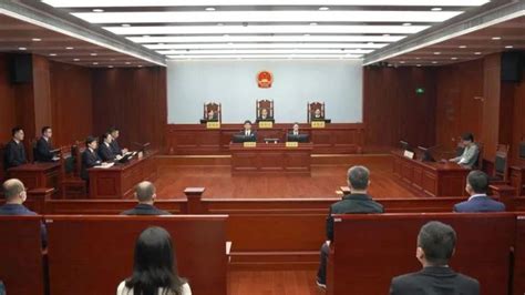 “红通人员”冯卫华贪污、受贿、挪用公款违法所得没收案一审开庭 - 周到上海