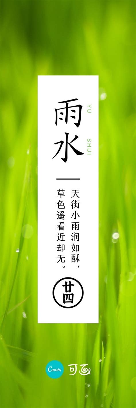 绿色嫩草雨露雨水节气照片中文书签 - 模板 - Canva可画
