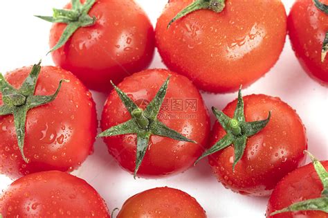 红番茄的进化果实的成熟过程发育阶段高清图片下载-正版图片503284079-摄图网