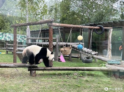 南京紫清湖野生动物世界升级迎国庆