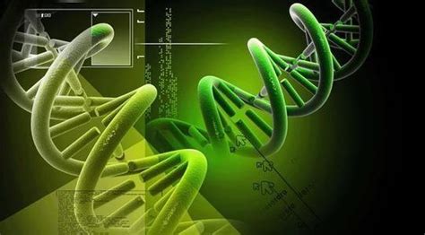 什么是基因测序？_技术