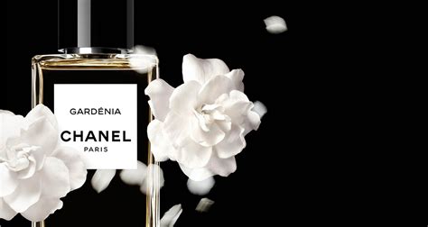 秀场解读|香奈儿（Chanel）2021年春季成衣系列，一如既往的简洁高贵！！！_印花