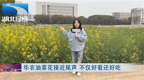 湖北经视直播栏目采访上海清涟环境金银湖湿地公园项目-上海清涟环境科技集团