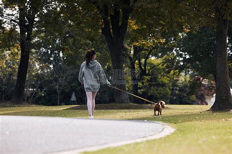 在公园牵着狗散步的美女高清图片下载-正版图片501807327-摄图网