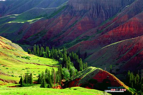 新疆伊犁州奎屯市旅游发展总体规划-奇创乡村旅游策划