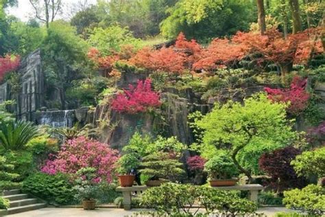 重庆南山植物园风景实拍