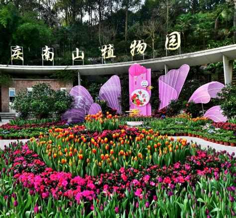 重庆南山植物园风景实拍