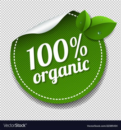 100 organic product label lsolated transparent Vector Image