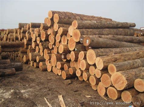 建筑用木材价格-天津**的木材批发市场