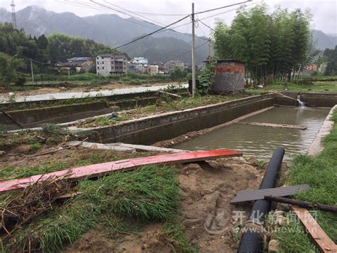 武冈有一口鱼塘堤坝垮塌了，据说花了25万修建的！_网友