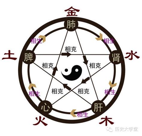 金木水火土五行图图片
