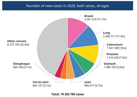 2020全球癌症数据报告：中国癌症发病率，死亡率全球第一 世界卫生组织/国际癌症研究署（WHO/IARC）发布了最新《2020全球癌症报告 ...