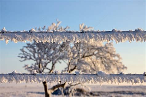 温冬冰霜加拿大萨斯喀彻温冰风暴危险高清图片下载-正版图片307291224-摄图网