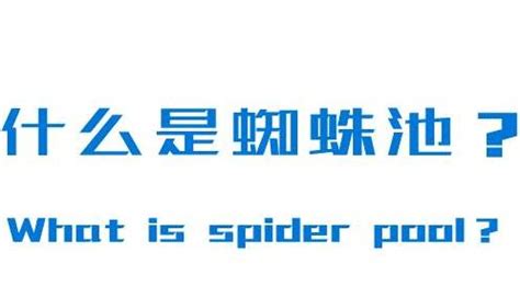 seo蜘蛛池快速收录（seo快排的方法）-8848SEO
