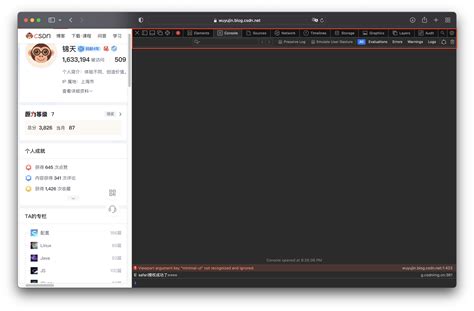 macbook Safari 如何打开F12 Console 控制台 开发者工具 Developer Tools_safari f12-CSDN博客