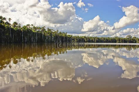 亚马逊河景，巴西，南美洲高清摄影大图-千库网