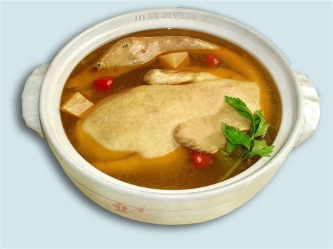 清炖鸭汤的做法 清炖鸭汤怎么做好吃 - 天奇生活