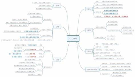 定性研究和定量研究的不同点