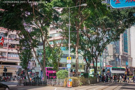 六十年代的香港记忆 珍贵的太平山街影像