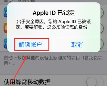 捡到的苹果手机怎么解id锁（捡了个苹果手机有id锁怎么办） - 尚淘福