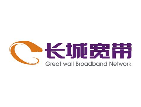上海长城宽带网络服务有限公司