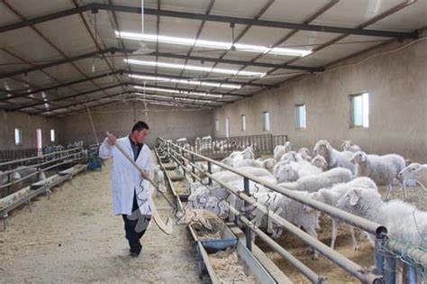 我院牛羊产业团队到黄平县开展肉牛养殖技术指导