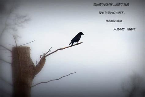 心寒的图片