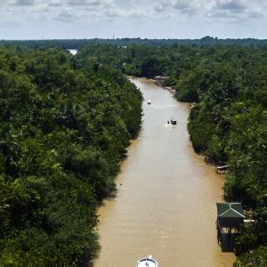 巴西的亚马逊河照片摄影图片_ID:307478110-Veer图库