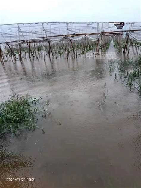 【图集】郑州遭遇历史极值暴雨：城市内涝、围墙坍塌、汽车被淹没|郑州市|河南郑州_新浪新闻