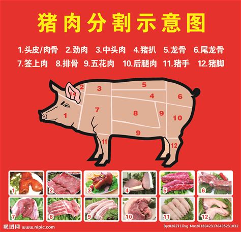 猪肉分割图设计图__海报设计_广告设计_设计图库_昵图网nipic.com