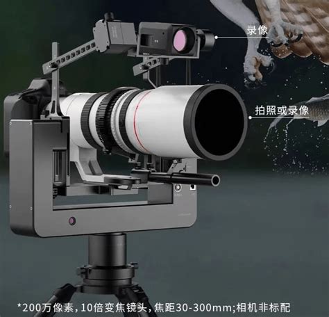 佳能智能摄影手U100全新推出 助力野生摄影师