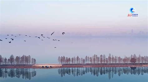“百湖之市”“湿地之城” 50秒环游江城武汉的湿地风光-中华网湖北