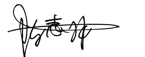 李宏的纯人工手写艺术签名设计作品欣赏,李宏的一笔签名设计、数字、商务、工作签名设计,手写签名设计 - 手写仔