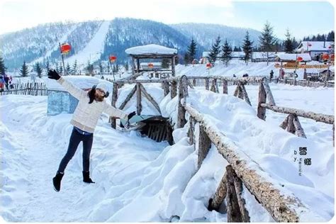 哈尔滨经典四日游：雪谷、雪乡、羊草山穿越、亚布力滑雪，纯玩户外
