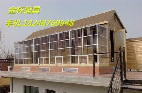 鸽舍建设需要注意什么？_种鸽-肉鸽-天成鸽业养殖基地