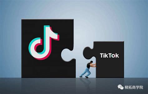 TikTok广告和直播引流 | 营销进化社