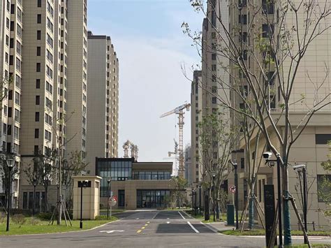 2740套保租房一年建成|保障性住房|深圳市|租房_新浪新闻