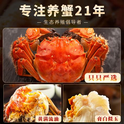 它被称为“蟹中之王”，出海就卖了，一只2000元，想吃只能去酒楼|黄油|酒楼|仔蟹_新浪新闻