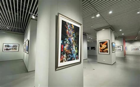 名单出来了，来看看中国摄影艺术馆的馆藏作品和它的定位_视界_澎湃新闻-The Paper