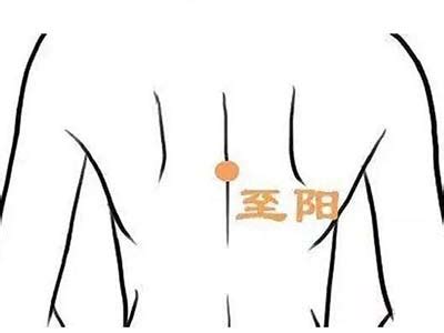 至阳的准确位置图图片 至阳的准确位置图图片